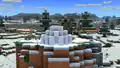 Snowy Tundra biome.