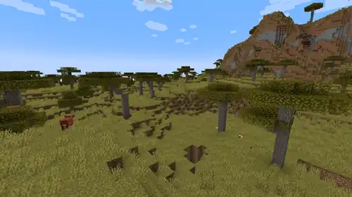 Savanna.png: Infobox image for Savanna the biome in Minecraft
