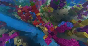 Sea pickles that generate on top of a coral structure.