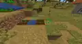 Wheat seeds growing from dirt paths due to a glitch.