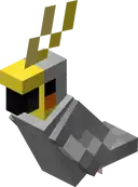 A sitting gray parrot.