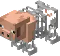 Skeleton pig (pig)