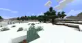 Snowy Taiga biome.