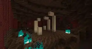 A nether fossil in a soul sand valley.
