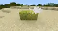 Sponges drying in Bedrock Edition.
