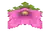 Spore Blossom BE (facing NWU).png: Infobox image for Spore Blossom the block in Minecraft