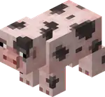 Spotted Pig.png: Infobox image for Spotted Pig the entity in Minecraft