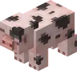 Spotted Pig Blink.png: Infobox image for Spotted Pig the entity in Minecraft