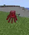A squid suffocating.
