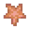 Starfish texture.