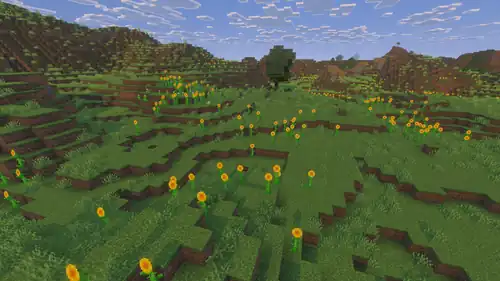 Sunflower Plains Vibrant Visuals.png: Infobox image for Sunflower Plains the biome in Minecraft