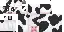 Baby Dairy Cow