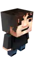 Tom's official Mojang avatar.