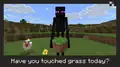 An enderman holding a grass block asks if you've touched grass today.
