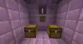 The treasure room, only without the shulker.