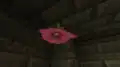 A spore blossom generated in a trial chamber.