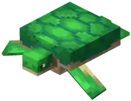 Turtle (Dungeons).png: Infobox image for Turtle the dungeons entity in Minecraft