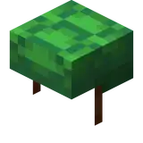 Turtle Shell.png: Infobox image for Turtle Shell the item in Minecraft