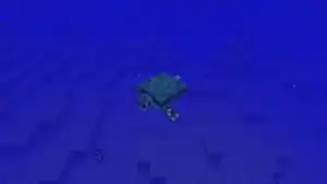 The first released screenshot of a turtle.