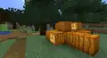 Naturally spawning pumpkins in a village.