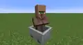 Villager in a minecart.