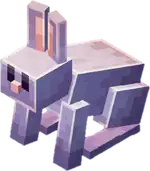 Violet Rabbit.png: Infobox image for Violet Rabbit the entity in Minecraft