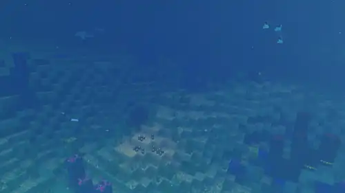 Warm Ocean Vibrant Visuals.png: Infobox image for Ocean biomes the biome in Minecraft