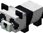 Weak Baby Panda.png: Infobox image for Panda the entity in Minecraft