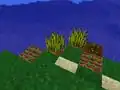 Wheat crops in Pocket Edition.