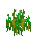Wheat Age 5 JE9.png: Infobox image for Wheat Seeds the block in Minecraft