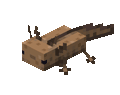 Wild Axolotl Idle Floor Underwater.gif: Infobox image for Axolotl the entity in Minecraft