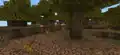 Inside a wooded badlands biome.