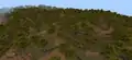 A wooded badlands biome, as seen from the sky.