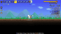 A player placing down a Bird, a Gold Butterfly, and a Bunny as furniture items.