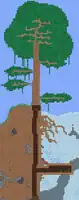 A Living Tree with a treasure room, viewed with Terrafirma.