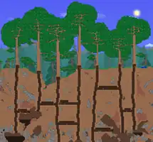 A group of 7 Living Trees.