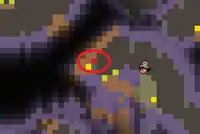 The red circle is the Orange Bloodroot's location.