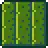 Cactus (placed).png