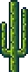 Cactus Plant.png