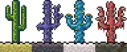 Cactus Types.png