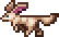 Fennec Fox.gif