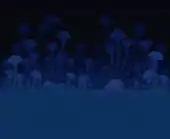 (Desktop, Console and Mobile versions) Smaller mushrooms towering in groups.