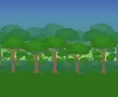 Grassy field with rich mahogany trees.