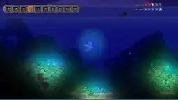 Ocean Biome Underwater