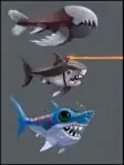 Shark Variants