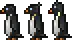 Penguin black 2.png