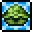 Pet Turtle