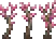 Sakura Sapling (placed).png