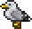 Seagull.gif