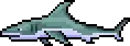 Shark (old).png